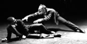 Originell und witzig: „Orchestra of Wolves“. Foto: Regina Brocke