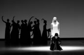 „Seasons – The Colors of Time“ mit Anna Polikarpova, Lloyd Riggins, Ensemble. Foto: Badekow