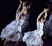 Kailey Kaba, Elisabeta Stanculescu, Alexandra Inculet und Feline van Dijken. Foto: Gert Weigelt