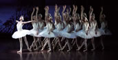 John Cranko, „Schwanensee“ mit dem Stuttgarter Ballett. Foto: Roman Novitzky